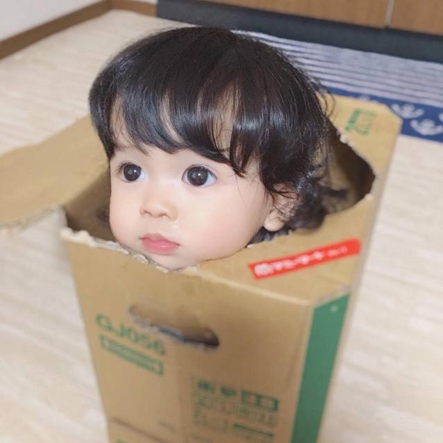 kk猫头鹰
