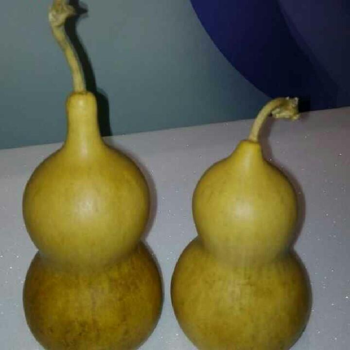 春秋战国之楚国虫二