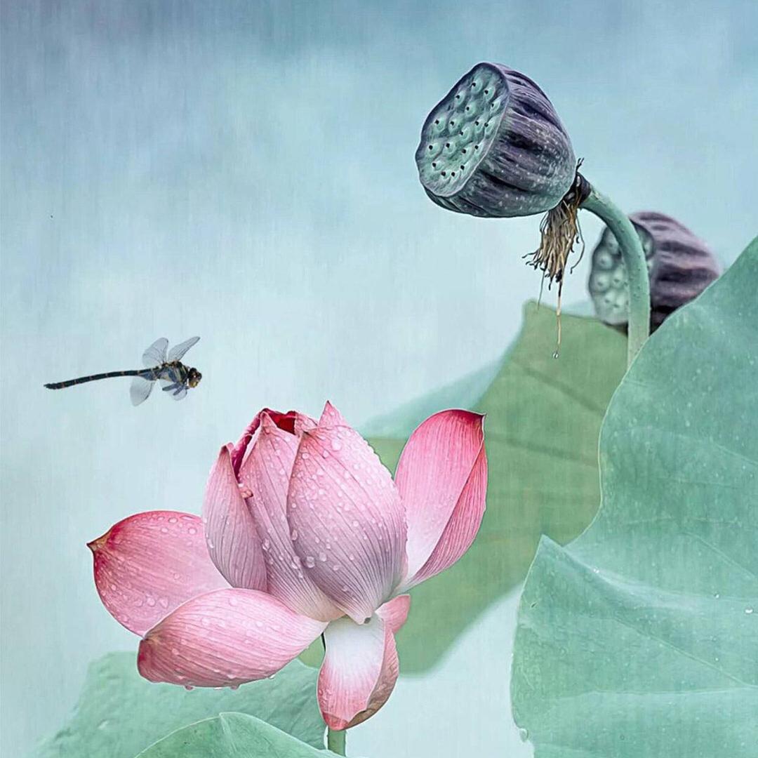 🐲麒麟依辰🍒