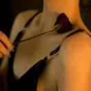 是小黄呀✪ω✪