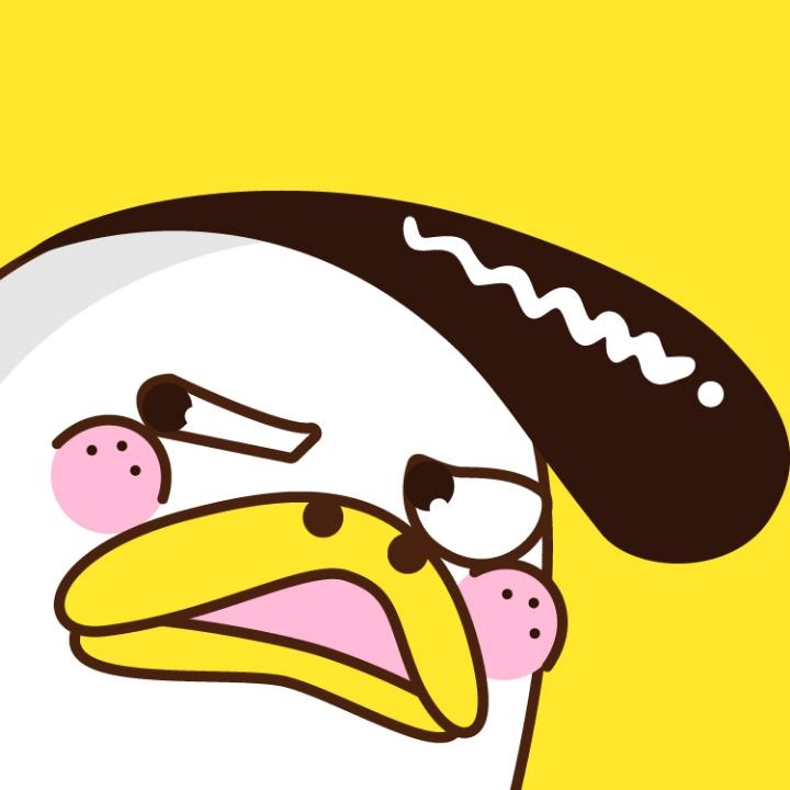 什么鸭W.T.Duck