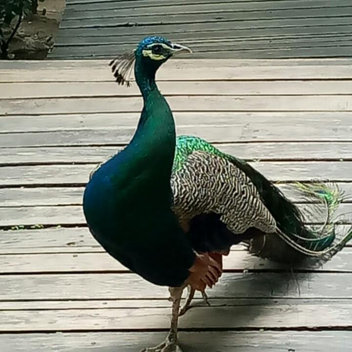 姐的高贵你有吗