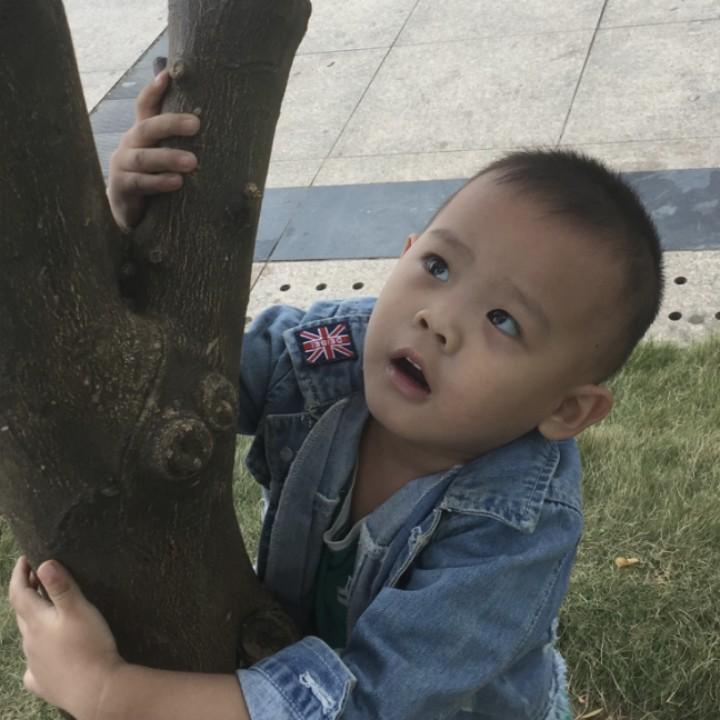 小陈浩天
