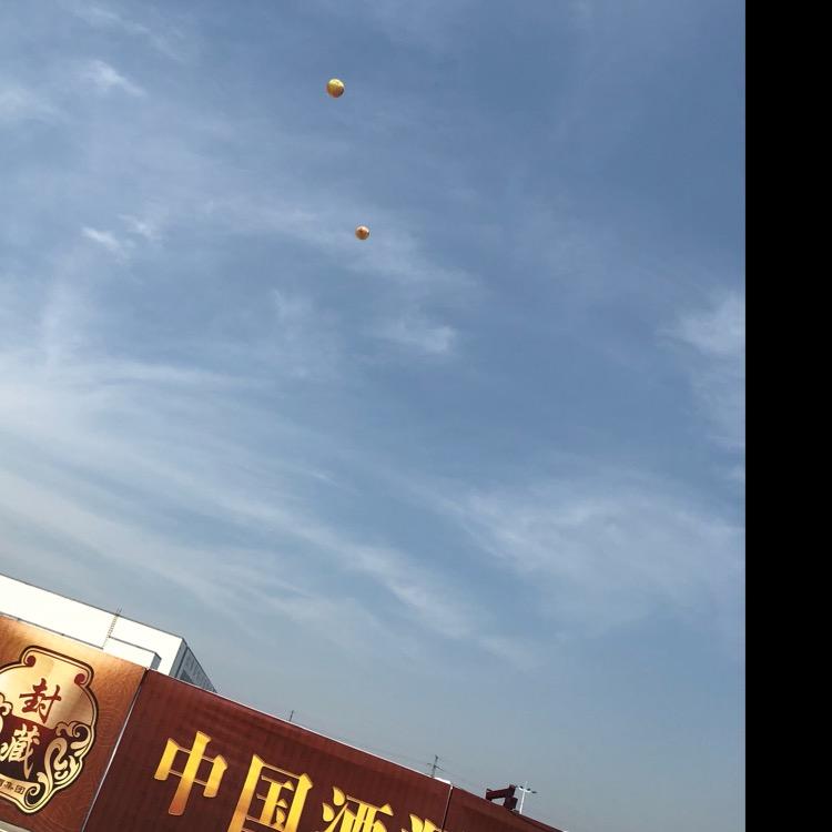 老虎头