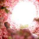 ꦿ꯭ꫛ张雪꧔ꦿএ᭄💕