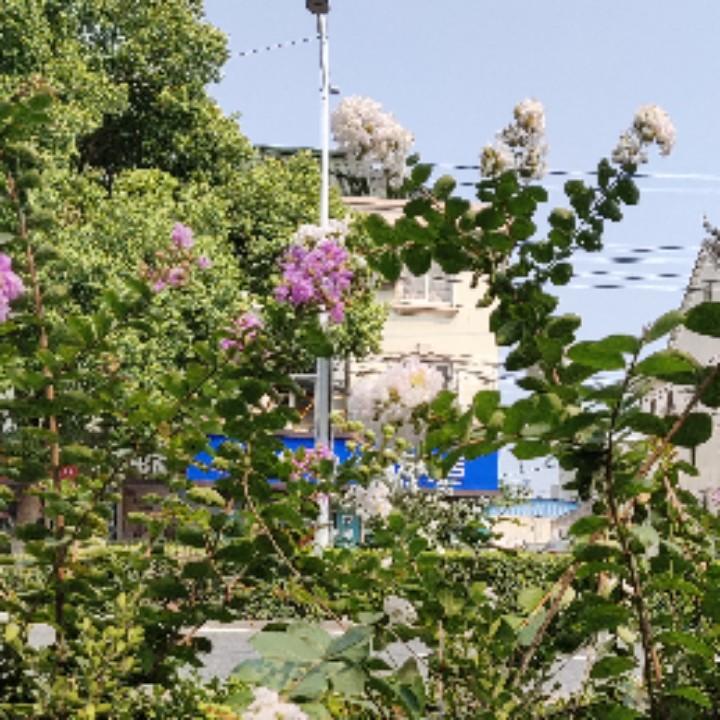 一生有你