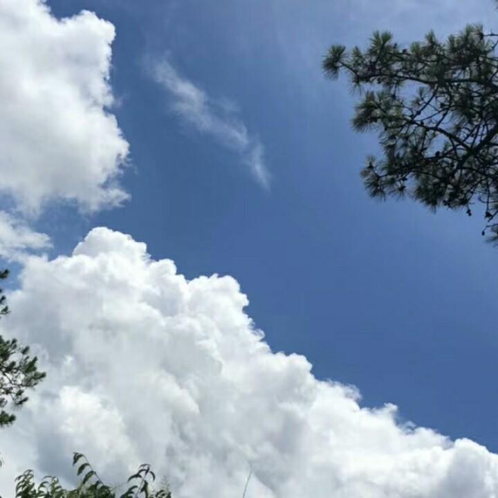 美丽的春天