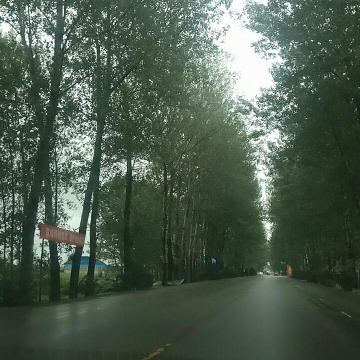 伟伟