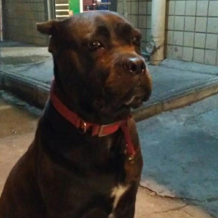 用户君1259770403955