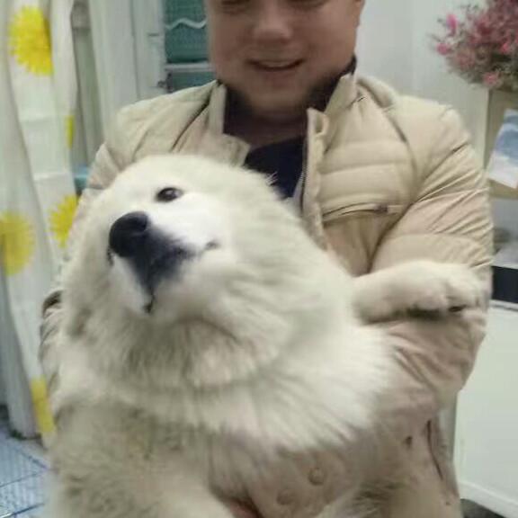 廚