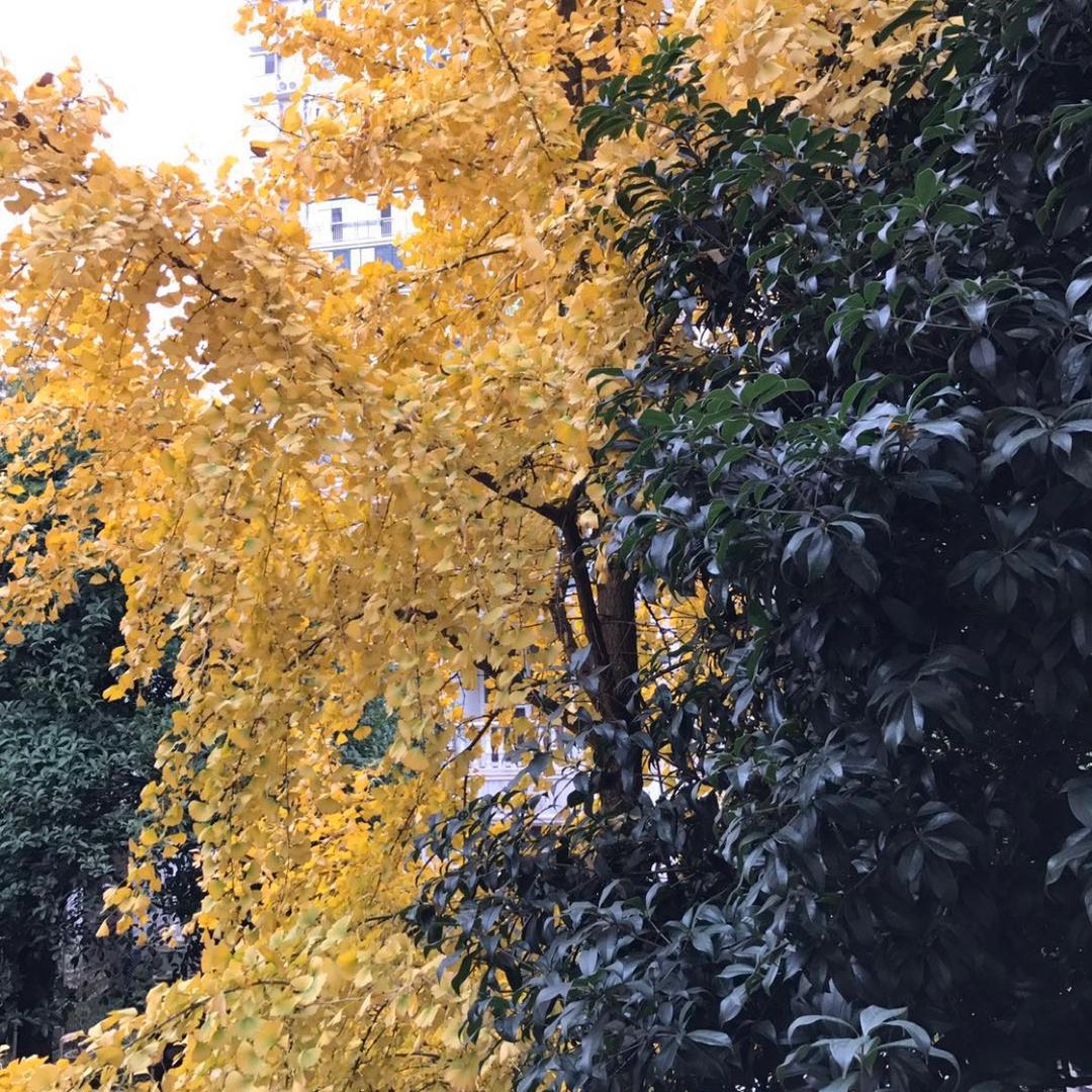 用户9910669780341