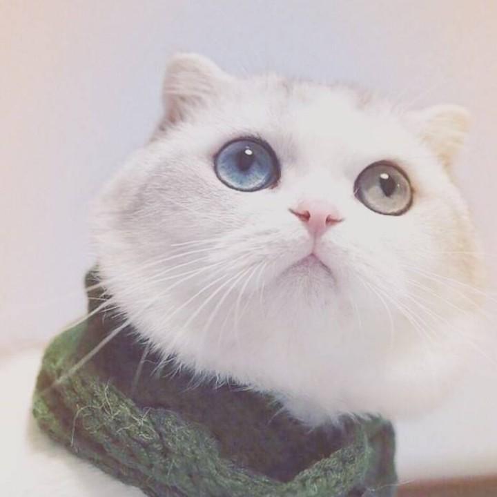 今遇兰