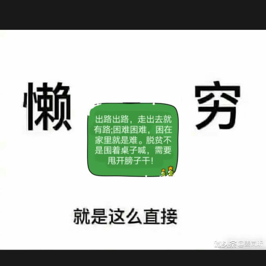 汤陈一品