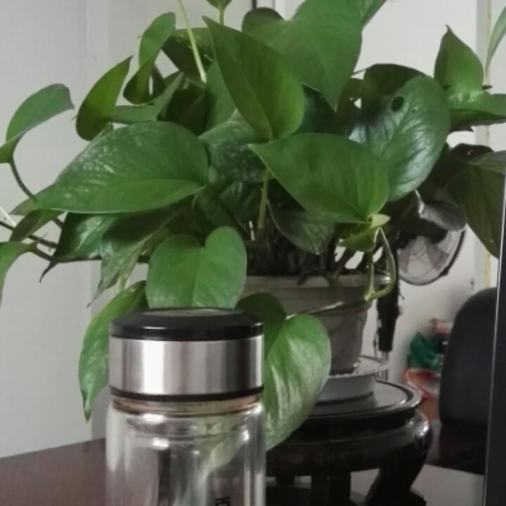 水牛哥