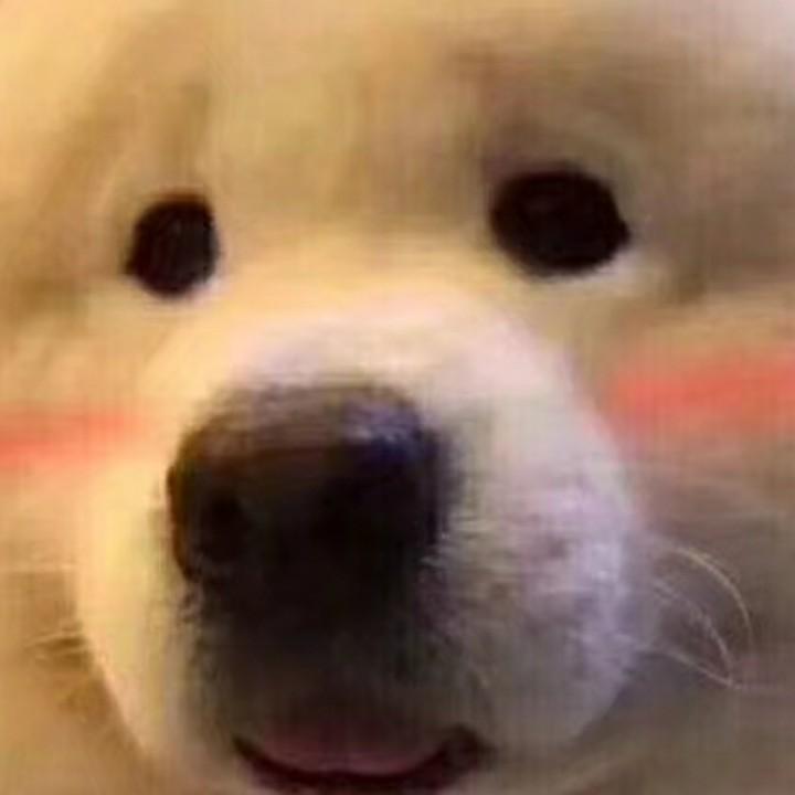 承诺过了期的东西