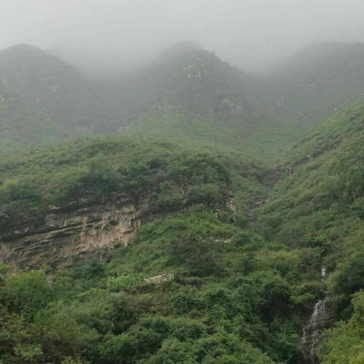 甲如有你