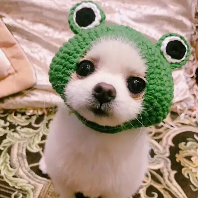 耶耶耶娴耶。