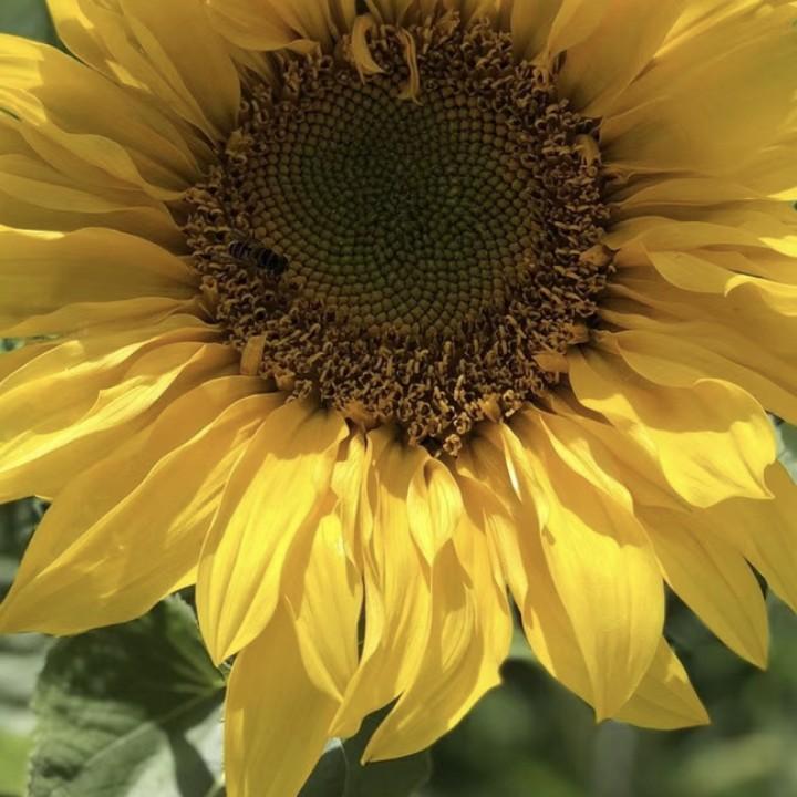奋斗