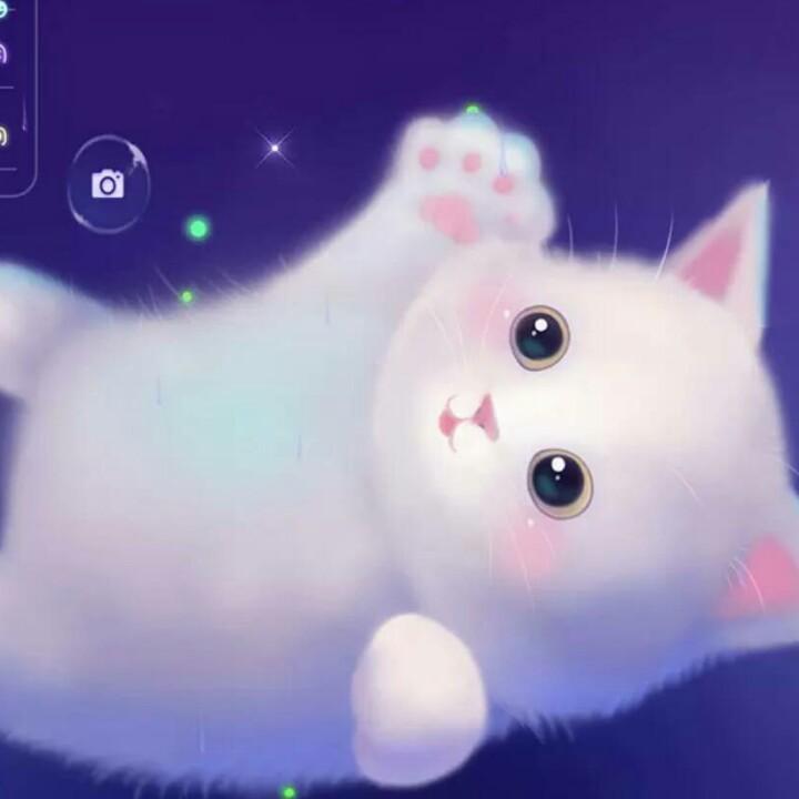 彼岸花🌸