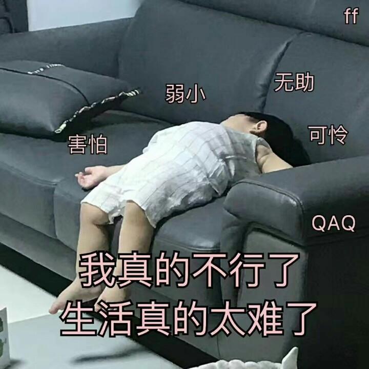 沉迷学习.
