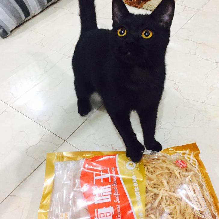 小凡凡小可爱～