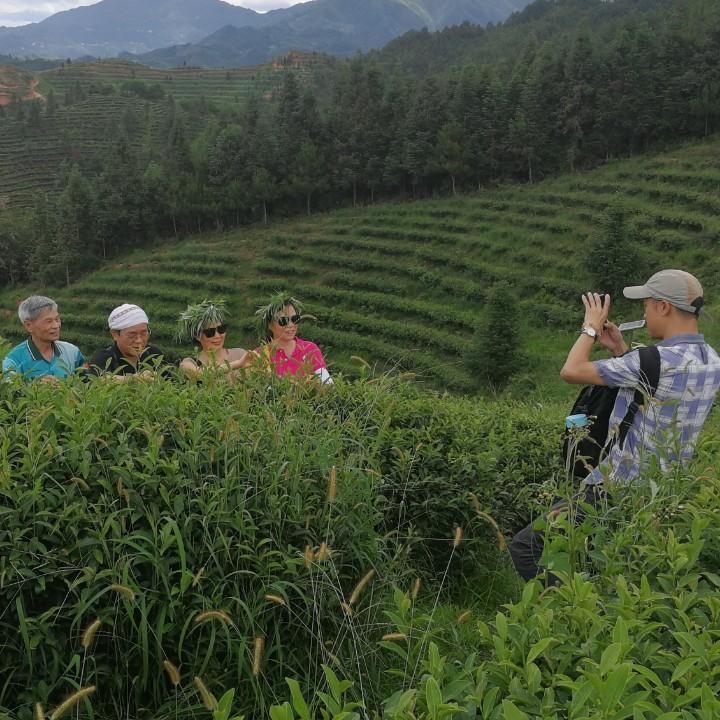 资兴仙坳金茶