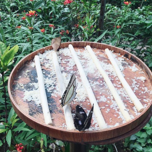 爱要有你才完美