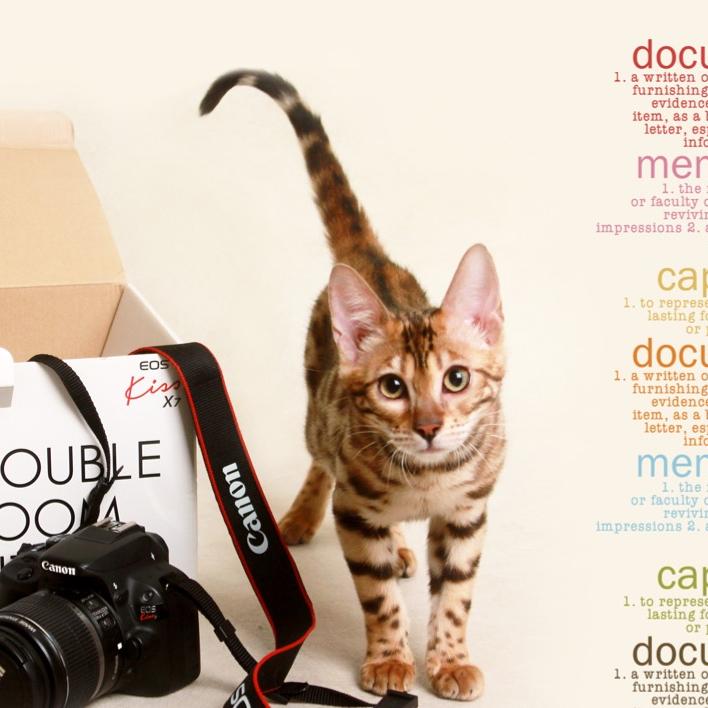 ゅ°喜之廊ゅ°o O