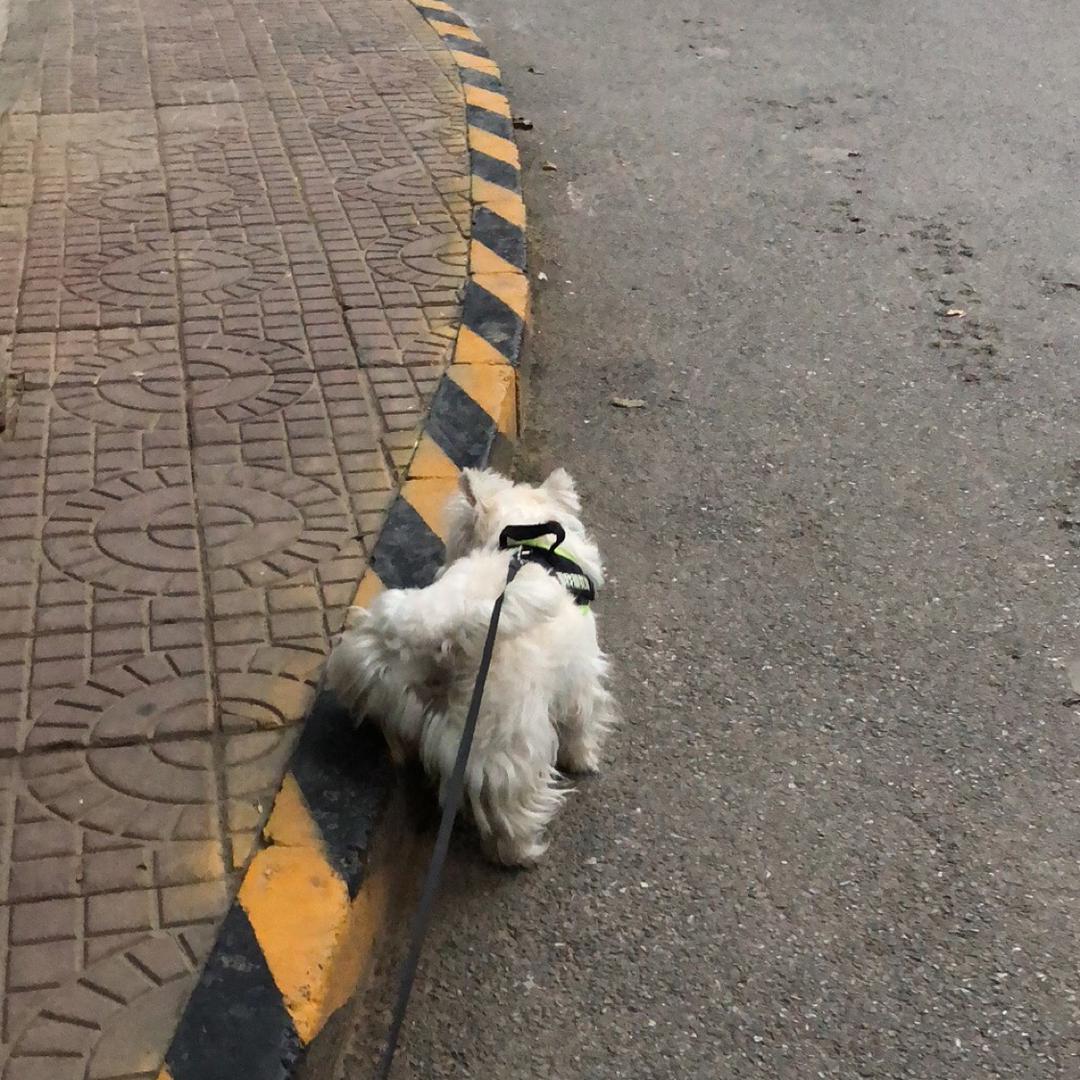 是王思思吖～～