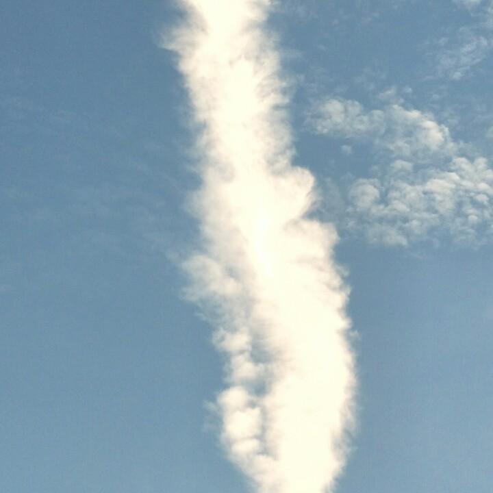 幸福平安(◍•ᴗ•◍)