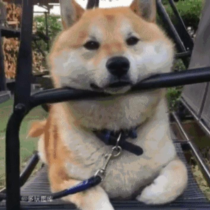 你应该是一阵风