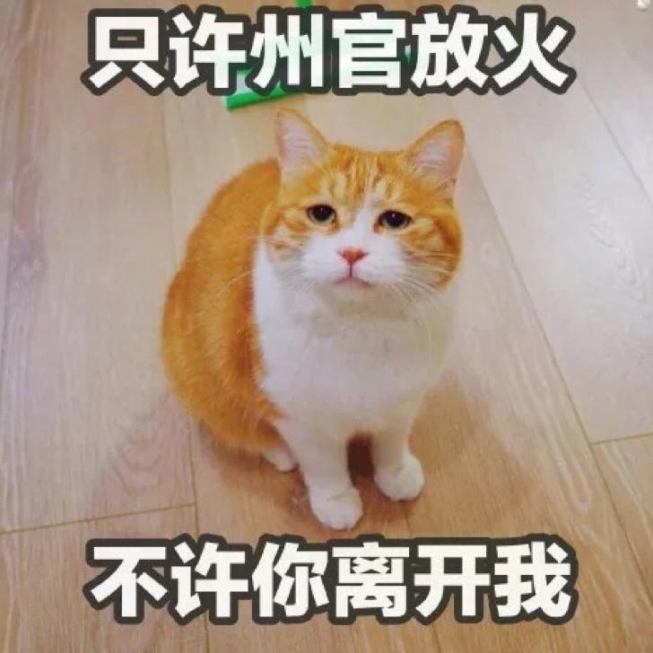 满山猴子🐒我腚最红