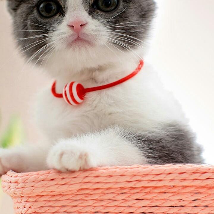 平凡人生😸🌈