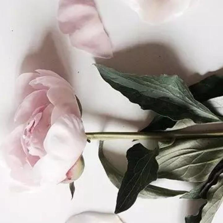 语妈私房美食