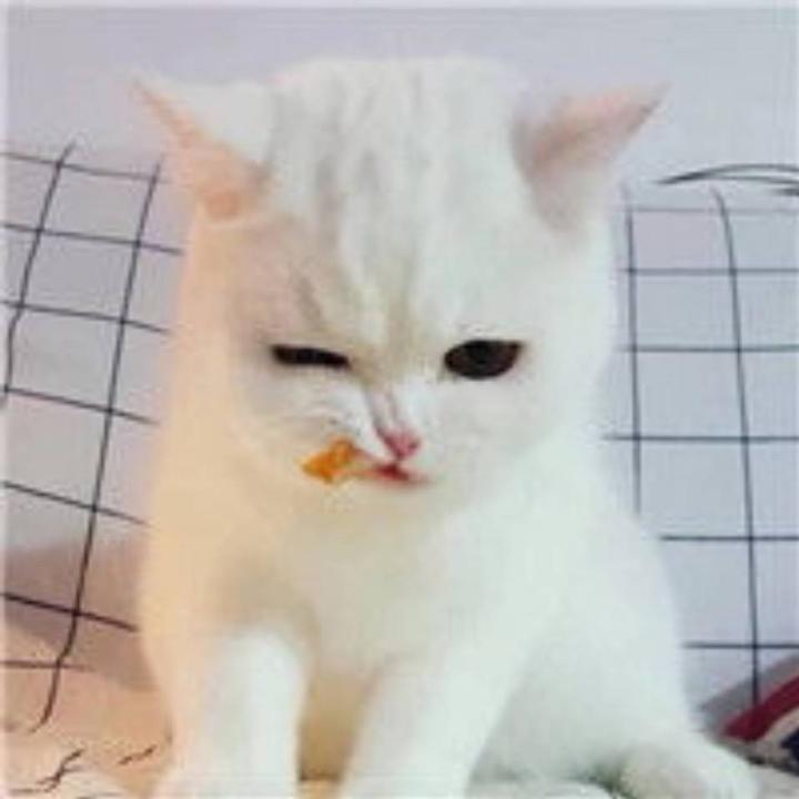 HWS