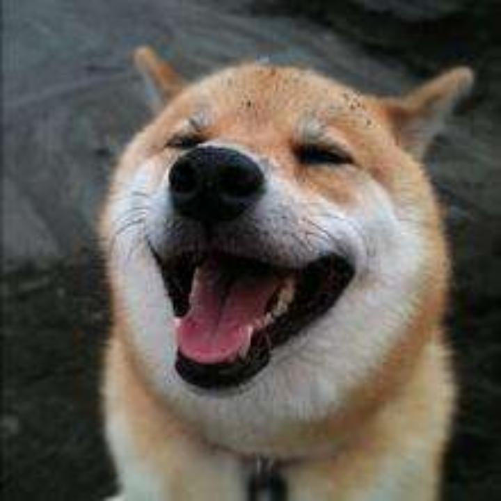 吃葡萄不吐皮皮