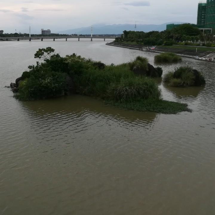 问道