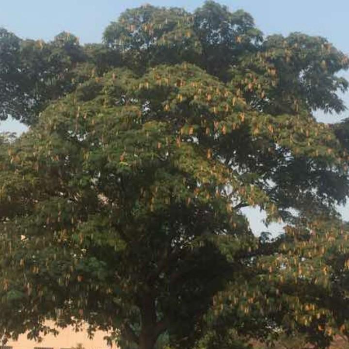 努力拼搏