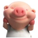 老鼠长大咬死猫（点关必回）