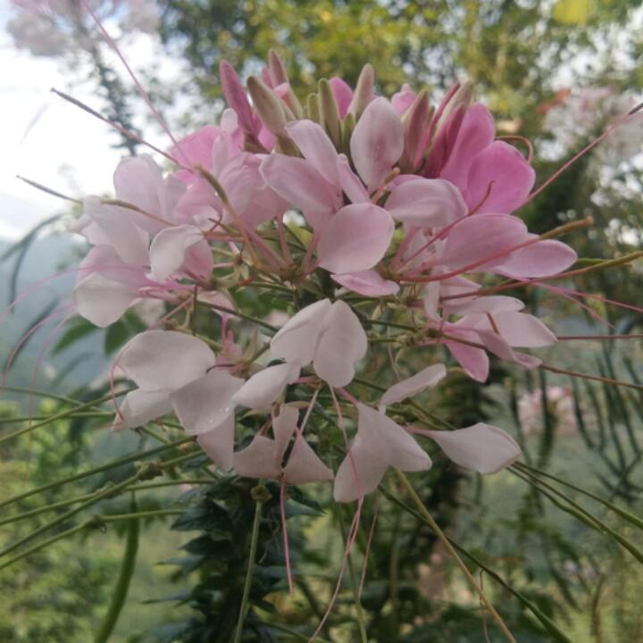 赵福权