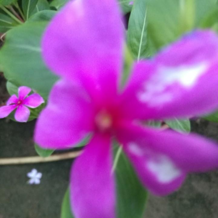 英英精品臻选