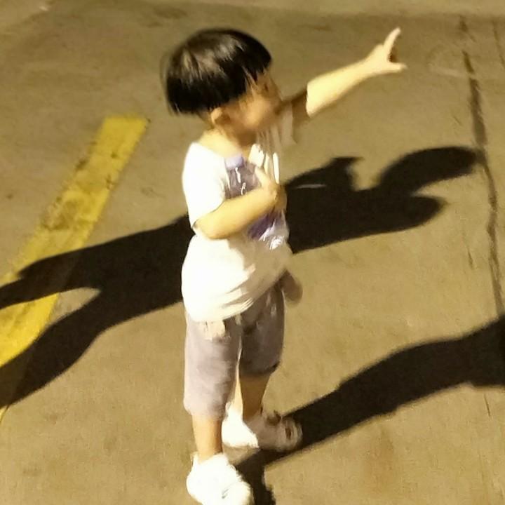 家有杉宝