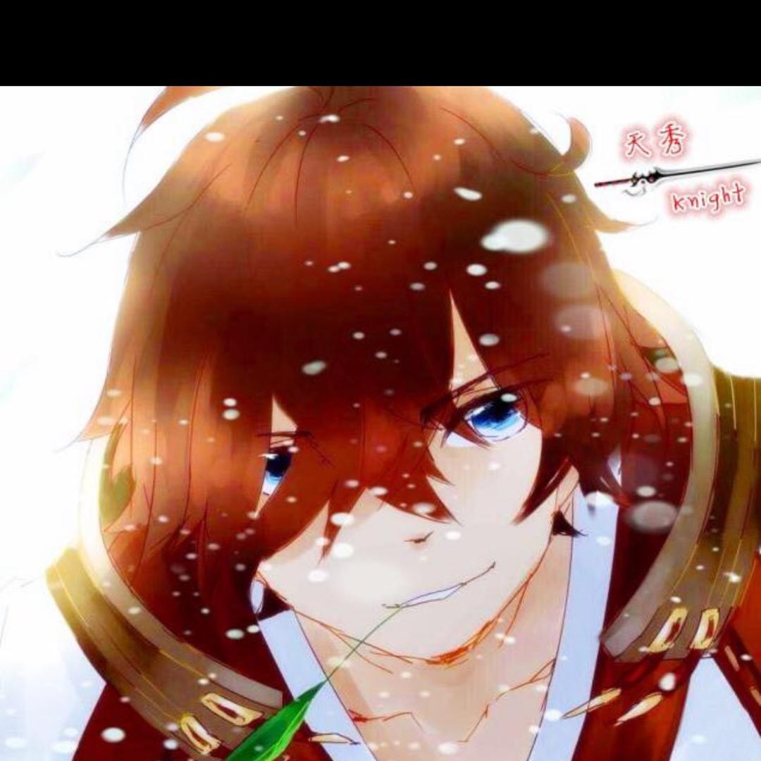 天秀Knight