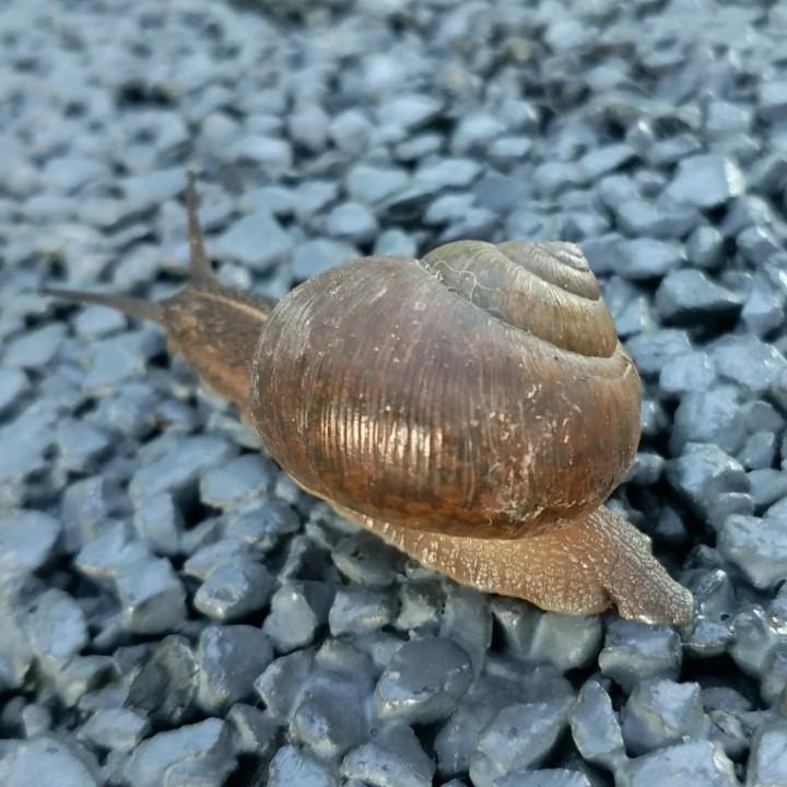唐鸾瑜伽