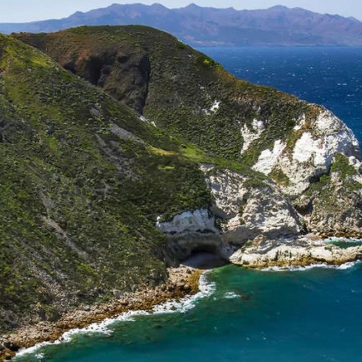 南渡江鱼🐠吴宽