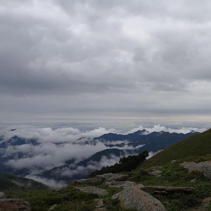 霖