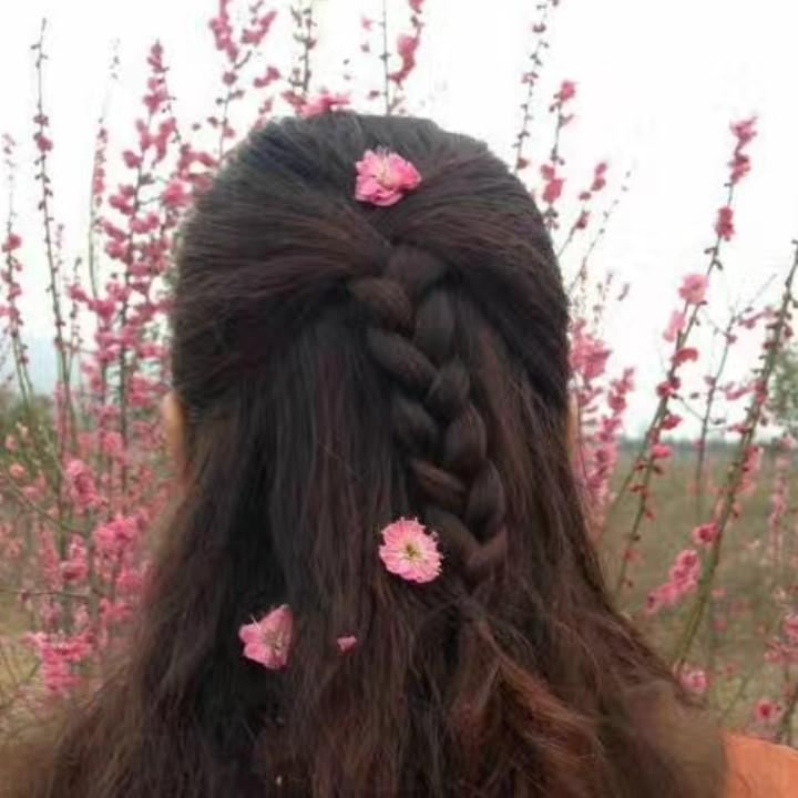 雁过蓝天