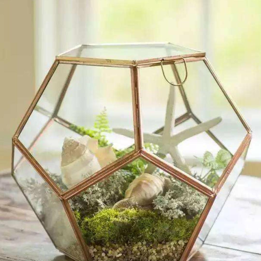 捍卫，她的权利