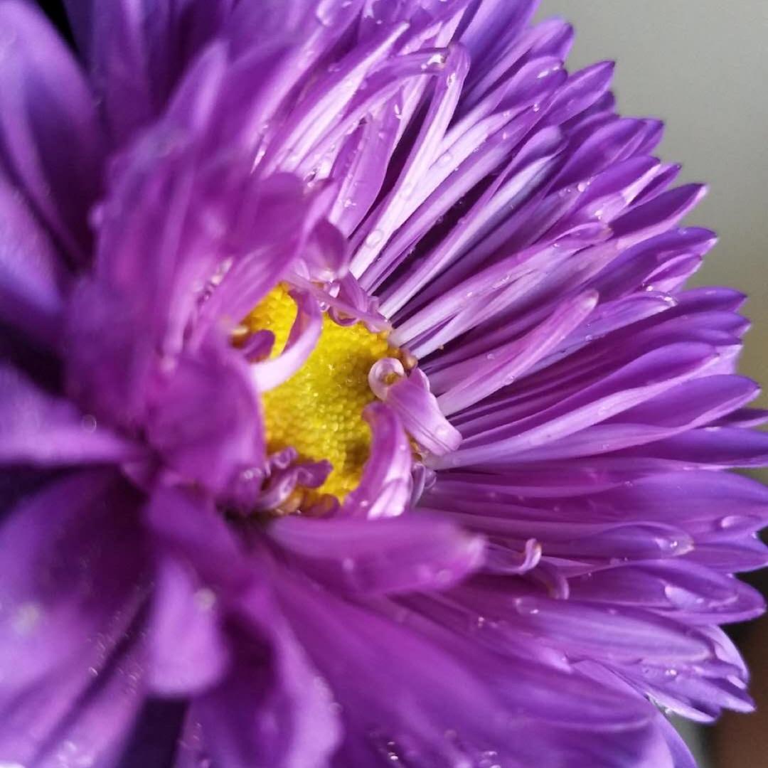 保定市娜子餐厅