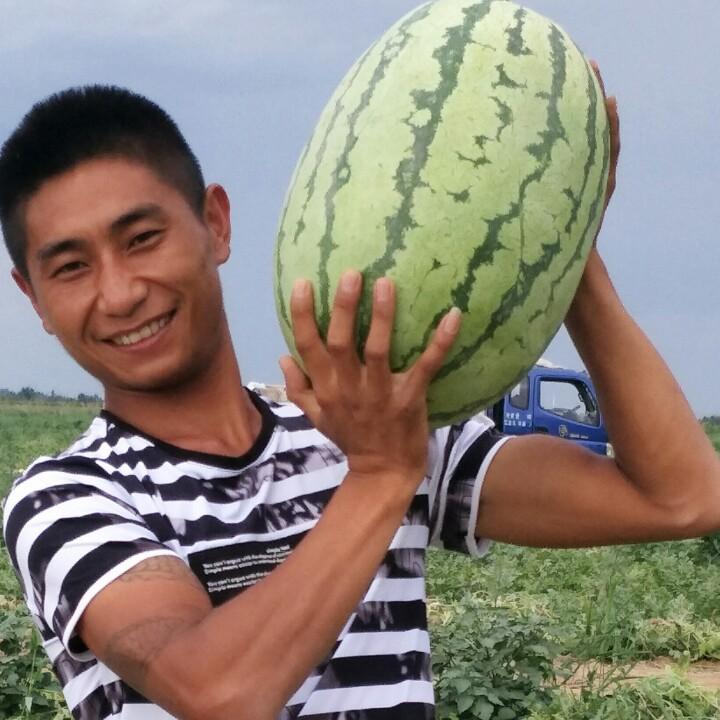 小曹西瓜